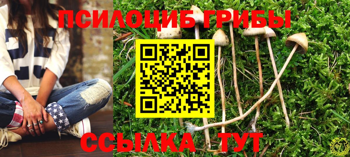 Галлюциногенные грибы GOLDEN TEACHER Большой Камень