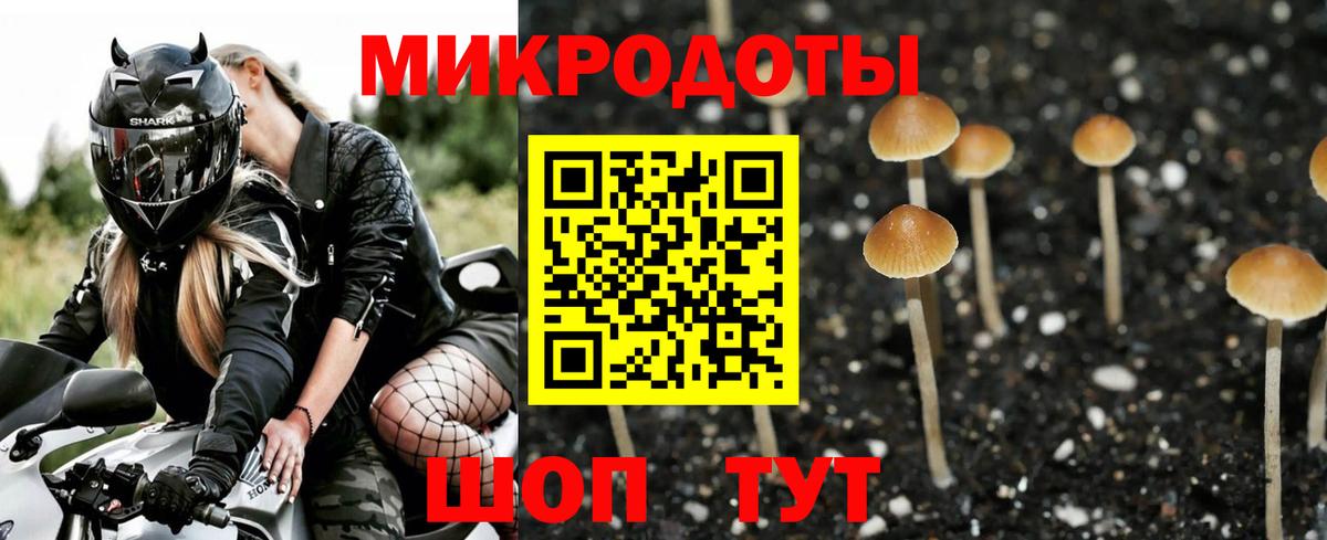Галлюциногенные грибы Magic Shrooms  Вход с VPN  купить   Большой Камень 