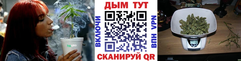Канабис AK-47 MEGA онион Большой Камень